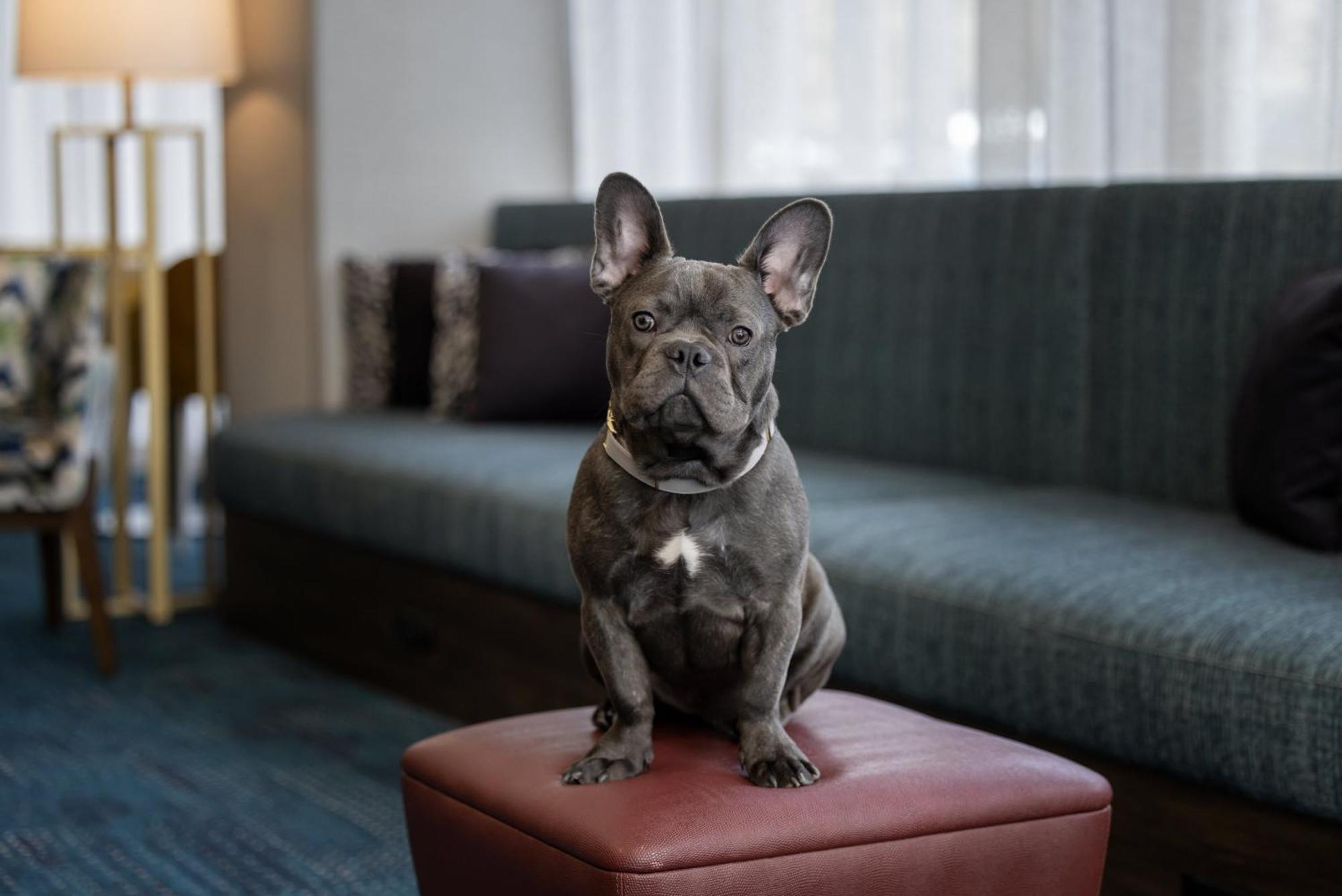 Hampton Inn Cleveland-Downtown Экстерьер фото